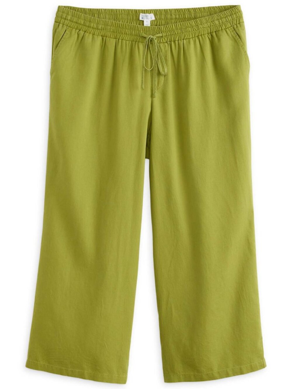 Market & Spruce Drawstring Wide Leg Pant Olive Plus 3X (Stitch Fix)